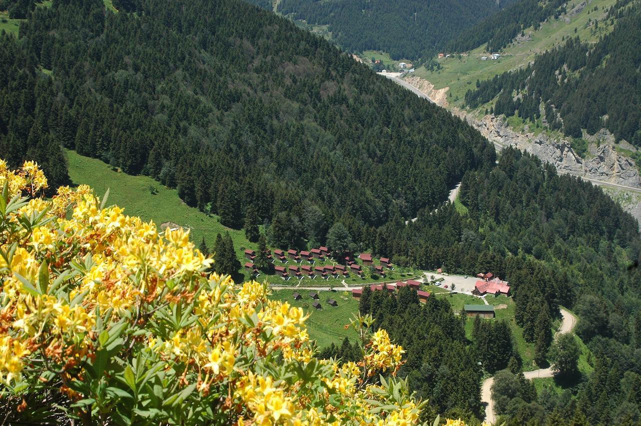Zitas Zigana Yayla Tatil Koyu Macka Exterior photo