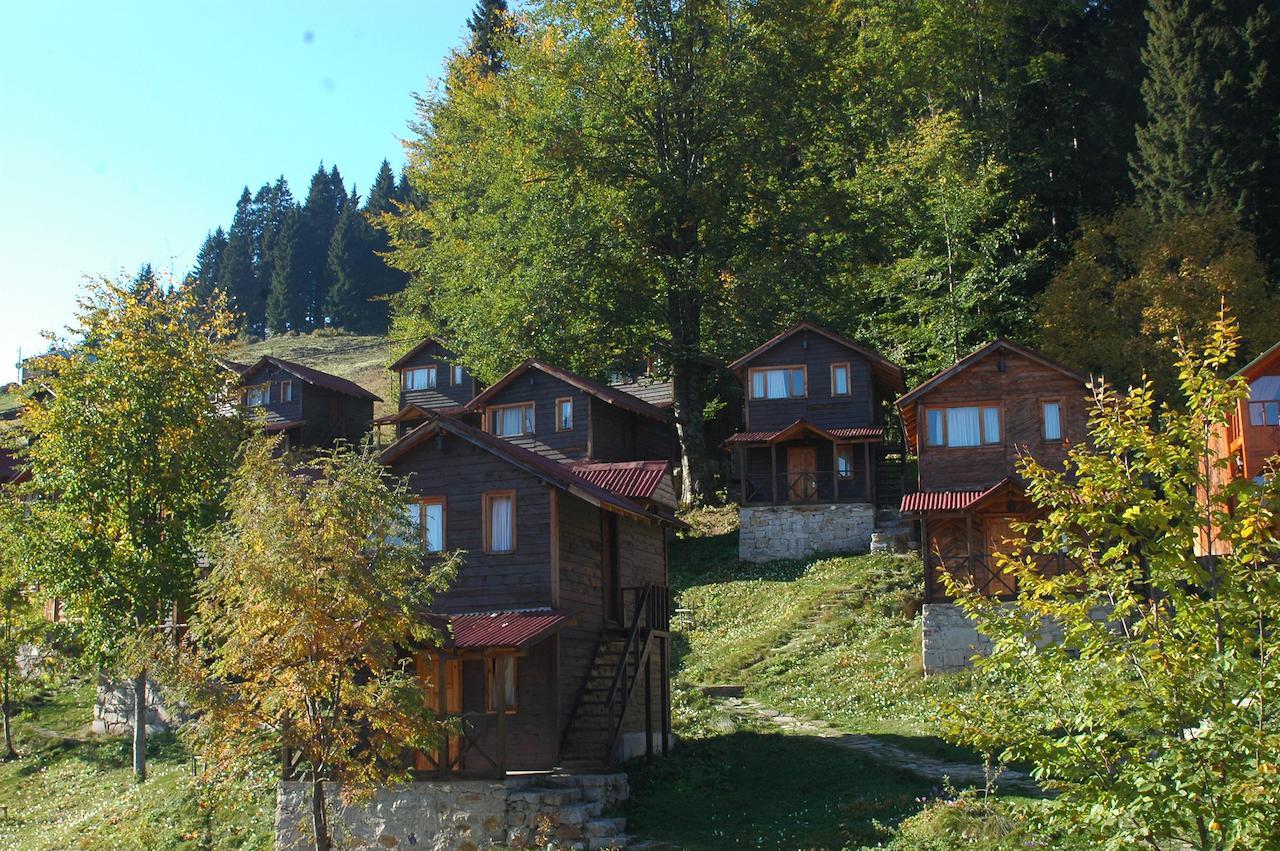 Zitas Zigana Yayla Tatil Koyu Macka Exterior photo