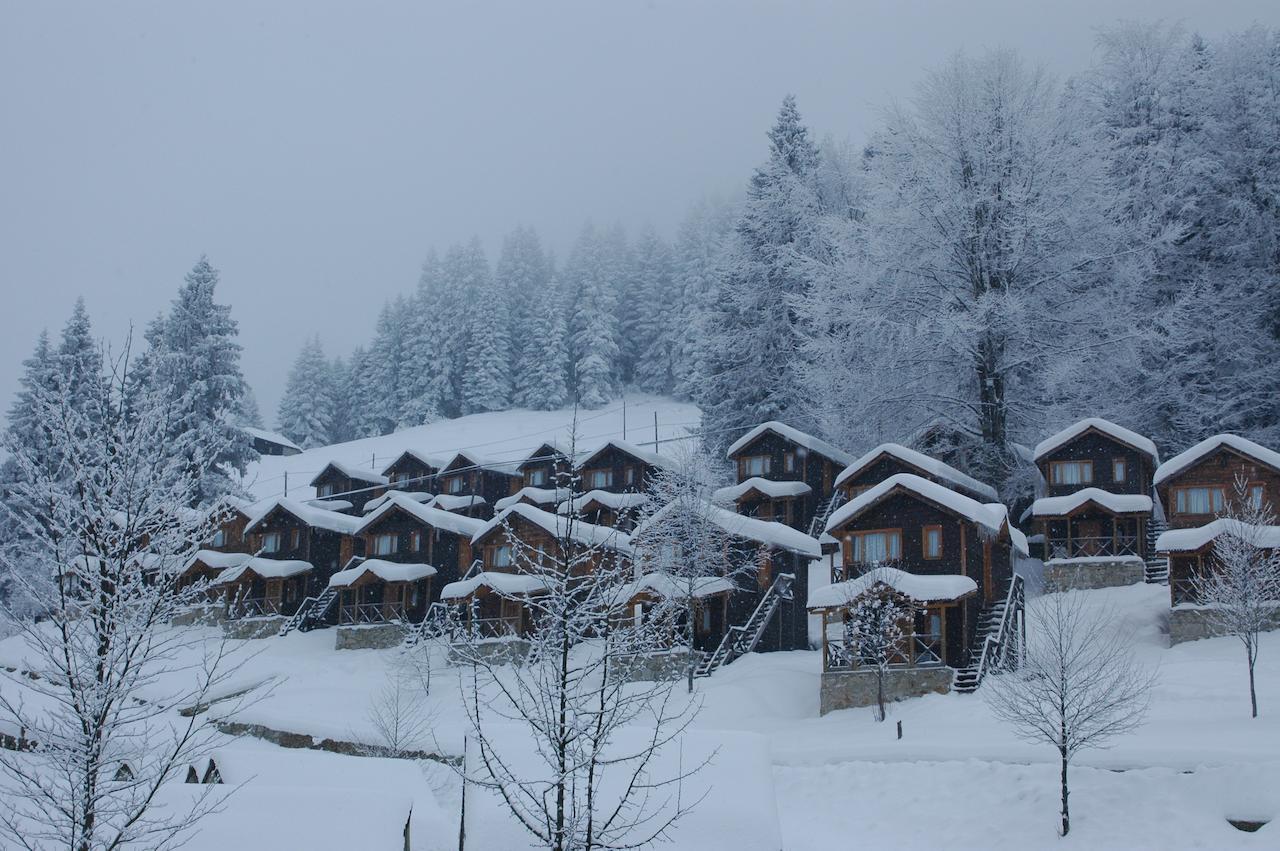 Zitas Zigana Yayla Tatil Koyu Macka Exterior photo