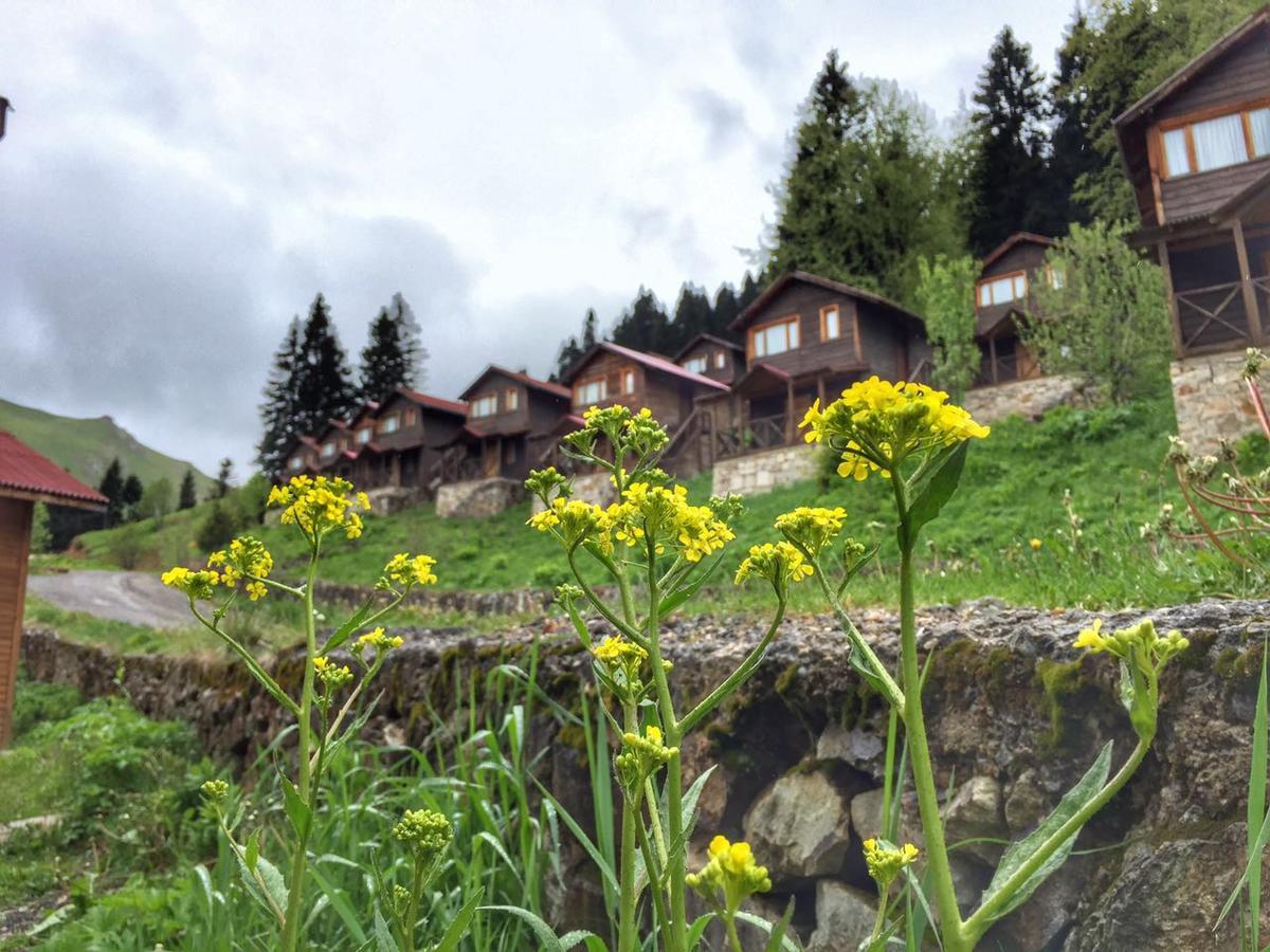 Zitas Zigana Yayla Tatil Koyu Macka Exterior photo